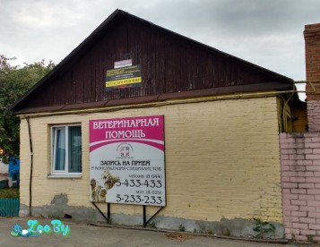 Ветеринарная клиника Радушный Лекарь