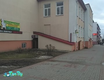 Ветеринарная клиника Айболит