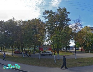 Ветеринарная клиника ЧТУП Барс Ком остановка «Чонгарской дивизии»