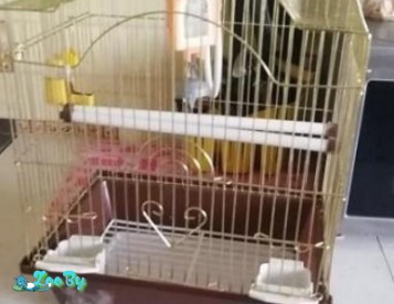 Клетка для папугая в хорошим состояние 