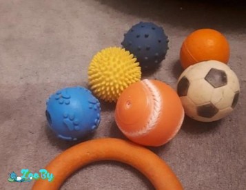 Мячик, игрушка для собак