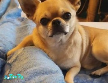 Красивый мальчик ищет подружку