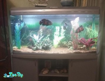 Аквариум с тумбой белый 300 литров