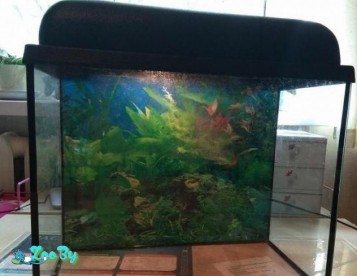 Аквариум на 25л в отличном состоянии