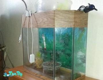 Продам аквариум на фото б/у на 40 литров
