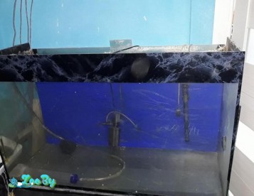 Аквариум 240 л, с оборудованием