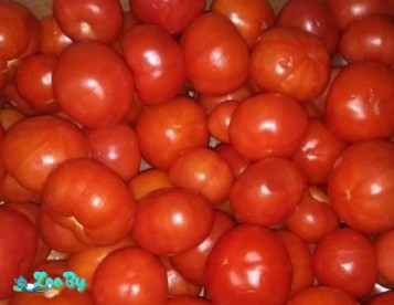 Продам домашние помидоры