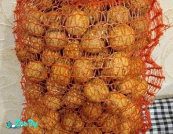 Грецкие орехи (2019г)