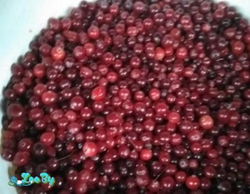 Продам лесную клюкву