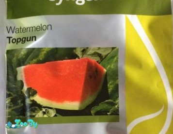 Голландские семена моркови уп. от 1 000 шт 