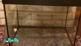 Аквариум 120 литров б/у фильтр в подарок