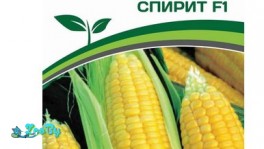 Кукуруза сахарная Спирит F1 (3г)