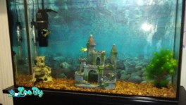 Аквариум 75 л с тумбочкой +фильтр+декор