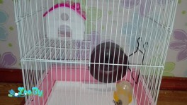 Клетка для хомяков