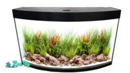 Аквариум eGodim Gloria 200л, черный