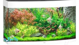 Аквариумный набор Juwel Vision 180 / 9400 (белый)