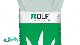 Семена газонной травы DLF Парк (20кг)