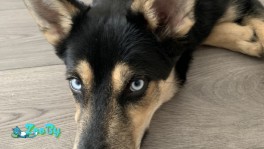 Глаза, которые невозможно забыть