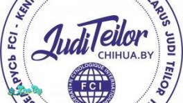 Питомник чихуахуа JudiTeilor FCI