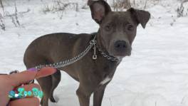 Милая девочка