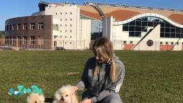 Титулованный кобель приглашает невест 