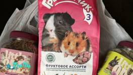 Лакомство для грызунов, срок годности до 2025 года