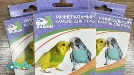 Отдам минеральный камень для попугая