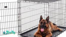 Аренда складной клетки для животных с поддоном (130х110х110 см)