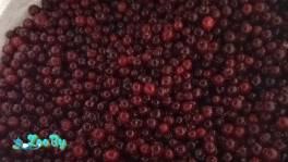 Продам клюкву оптом и в розницу объем