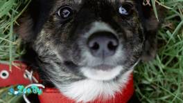 Луне очень нужна семья