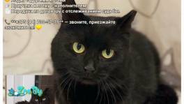 Матильда срочно ищет дом!