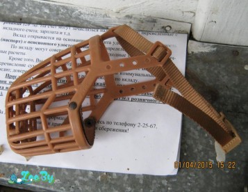 Пластиковый намордник для мелкой собаки