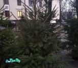 Screenshot_878