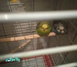 IMG_20200122_234212