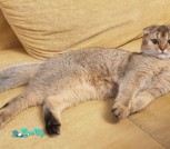 20201024_113931м
