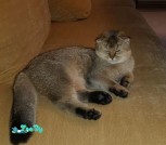 20201024_114513м
