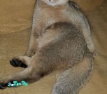 20201028_011323м