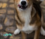 IMG_20201223_001047_511