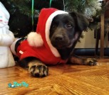 PHOTO-2020-12-28-11-33-25