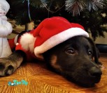 PHOTO-2020-12-28-11-33-26 2