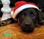 PHOTO-2020-12-28-11-33-26