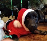 PHOTO-2020-12-28-11-33-27