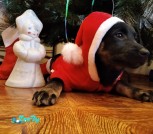 PHOTO-2020-12-28-11-33-28