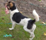 IMG_20201018_130104
