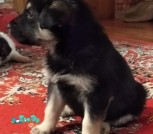 изображение_viber_2021-01-18_19-37-03