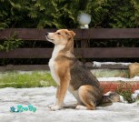 IMG-c58ebdc7baa0c54c8409c800f6a6db9c-V