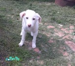 IMG-9ac2ed903f6eb011b484082fa19efdd2-V