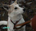 IMG_20201223_001047_401