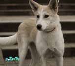 IMG_20201223_001047_403