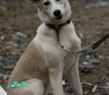 IMG_20201223_001047_406